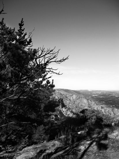 002 Landscape Naturaleza Blanco y Negro (Digital)