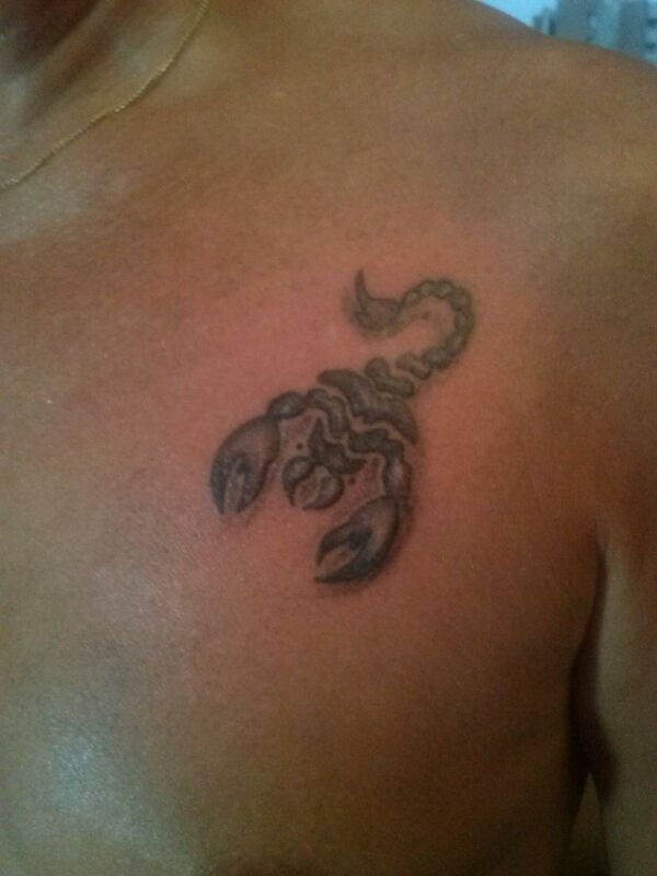 escorpion pecho