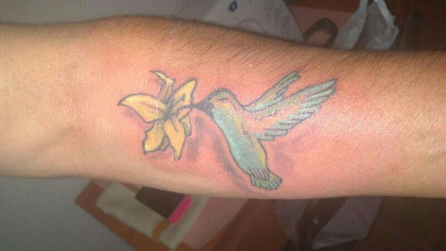colibri color