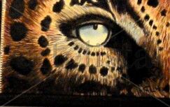 leopardo