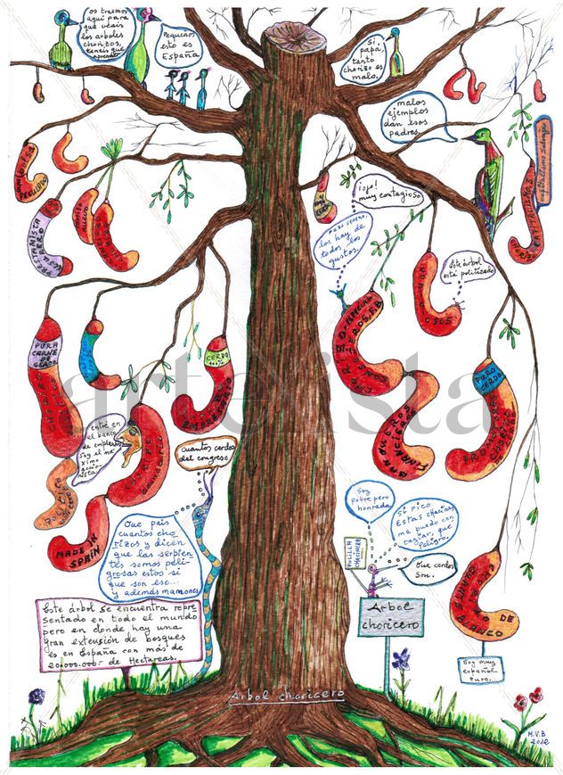 arbol choricero