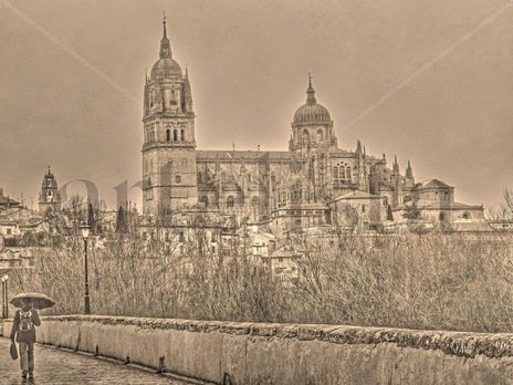Catedral desde el...