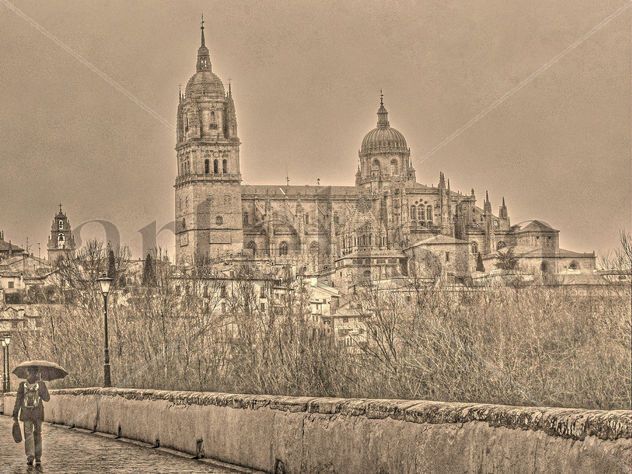 Catedral desde el puente romano 2
