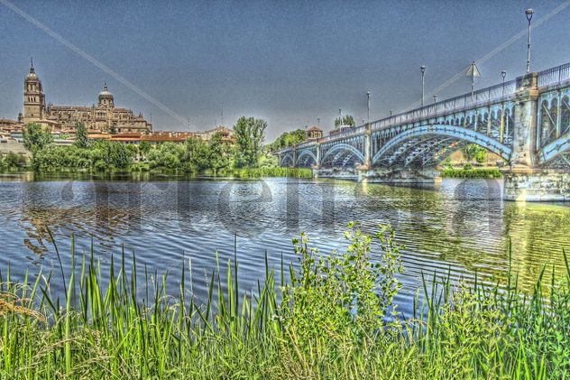 Catedral desde el río Tormes
