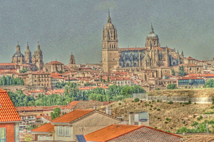 Catedral desde...