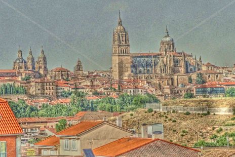Catedral desde...