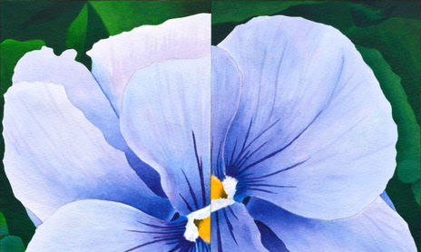 Flores Rotas