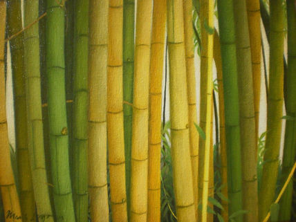 Bambùes