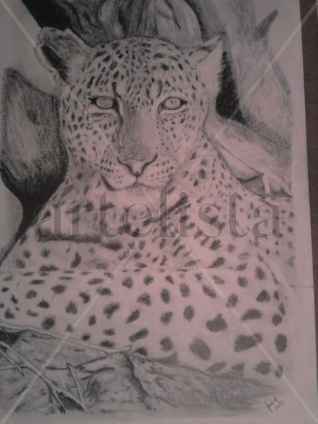Leopardo