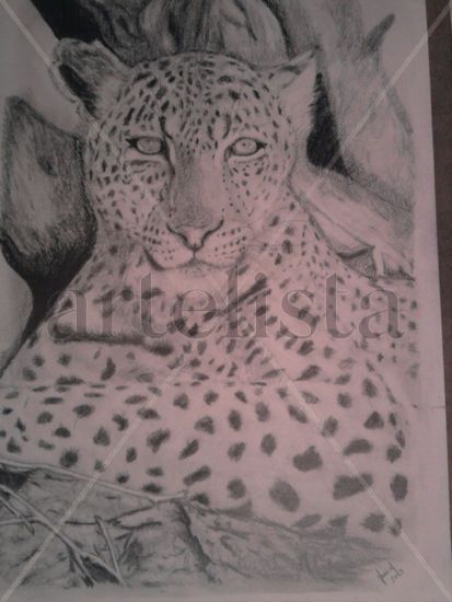 leopardo Pencil