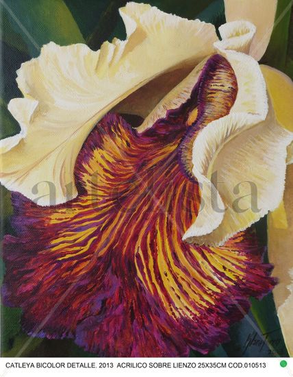 CATLEYA BICOLOR Acrylic Canvas Floral Painting