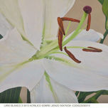 flores y flores thumbnail 1
