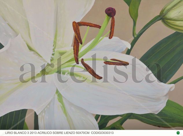 LIRIO BLANCO 3 Acrylic Canvas Floral Painting