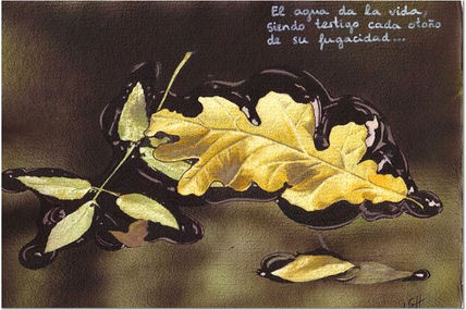 Trilogía del Agua:...