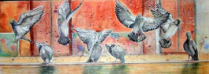 Palomas