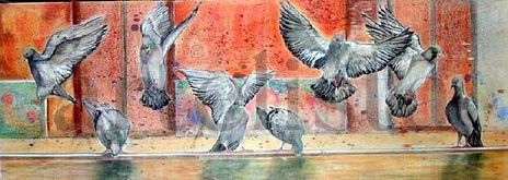 Palomas