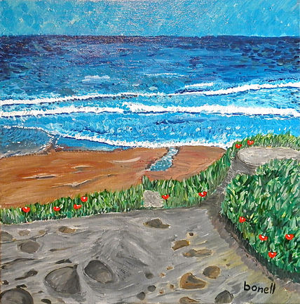 Paseo cerca del mar