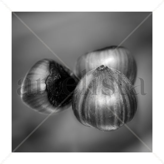 AVELLANA Still lifes Black and White (Digital)