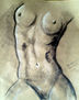 Torso femenino