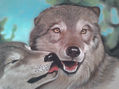 Lobos a pastel