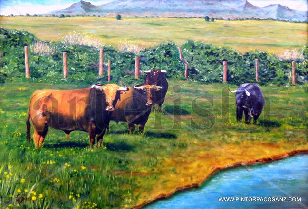 TOROS DE DOMEC