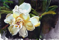 Gardenia