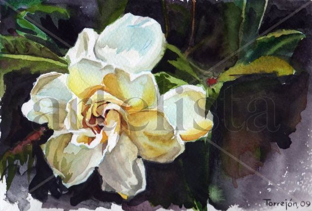 Gardenia