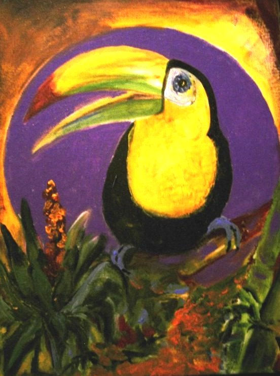 tucano