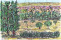 Paisaje y ciudad de Talavera al fondo