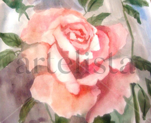 rosa Watercolour Card Floral Painting