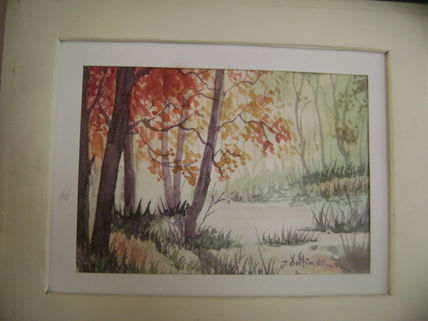 Paisaje con luz
