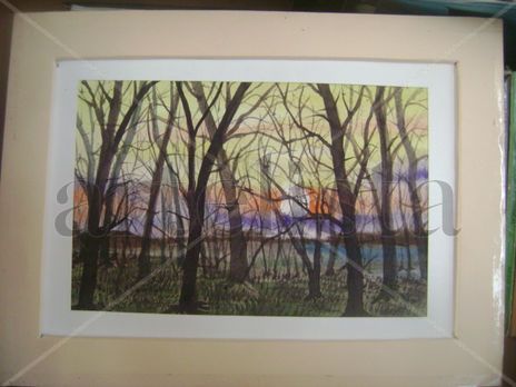 Bosque seco 3