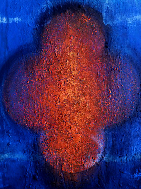 Lucernaria 2