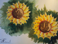 Girasoles