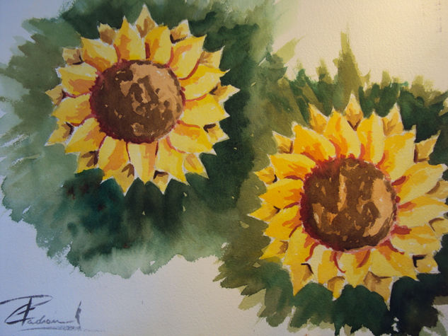 Girasoles Acuarela Papel Floral