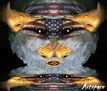 Us eagle´s eye