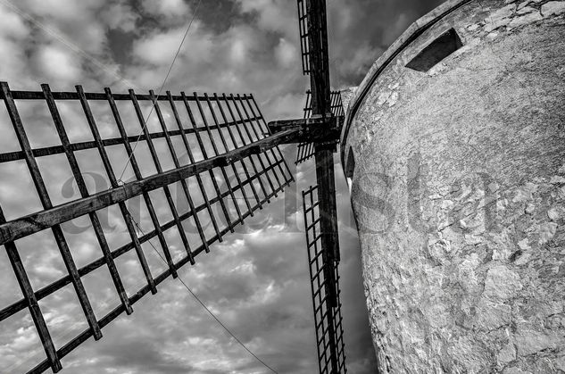 El brazo del gigante Viajes Blanco y Negro (Digital)