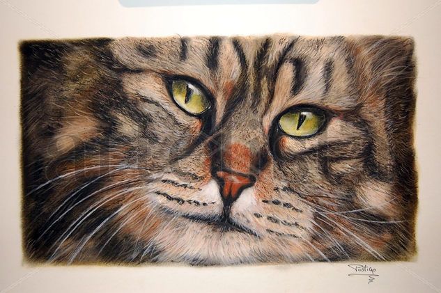 Mirada felina Pastel Paper Animals