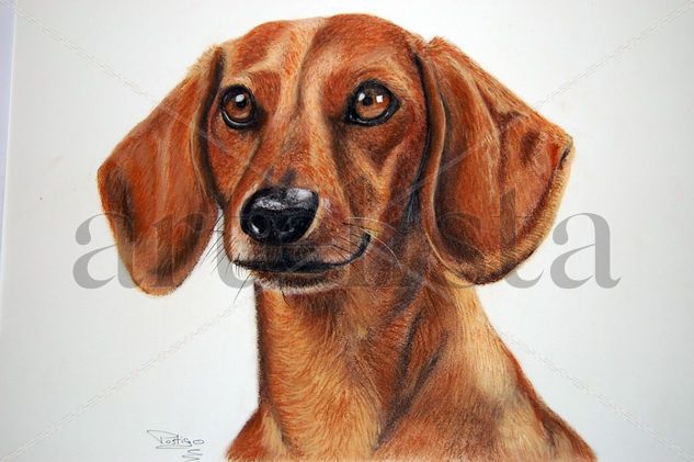 inteligencia canina Pastel Paper Animals