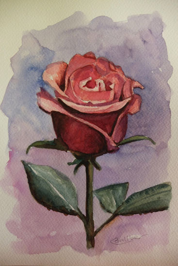 Rosa Watercolour Paper Floral Painting