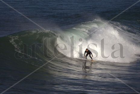 Surfeando