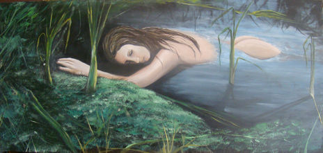 Bosque humedo