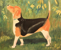 Beagle