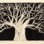 arboles thumbnail 1