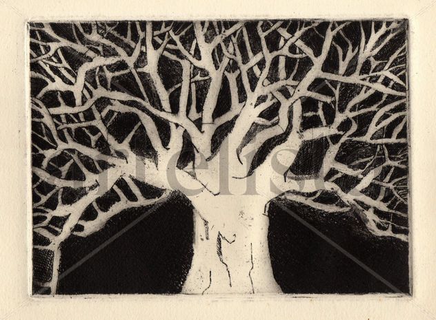 arbol