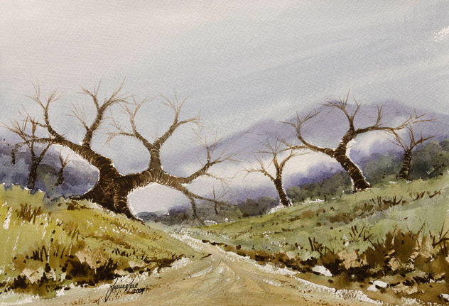 Paisaje