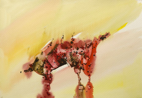 Abstracción