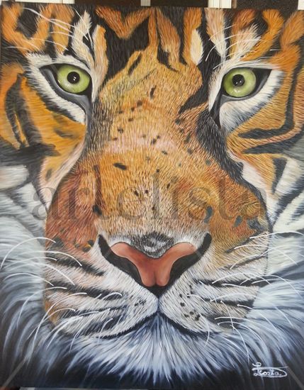 Green eyes Oil Canvas Animals