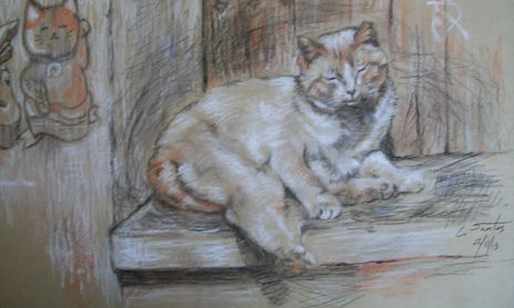 Cuatro gatos