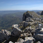 naturaleza thumbnail 1